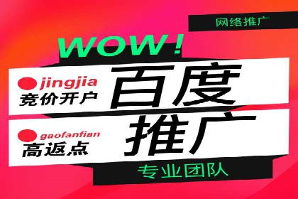 百度竞价排名案例分析：提升网站流量与转化率